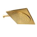 Showerscape KX8227CK 12-Inch Rainfall Square Shower Head with 16-Inch Shower Arm, Brushed Brass KX8227CK